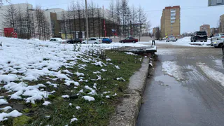 Каким будет лето 2025 после аномально теплой зимы: эксперты ответили, к чему нужно всем готовиться садоводам