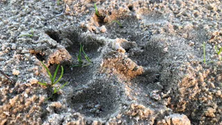 Зима пришла: в ночь на среду в Рязани похолодает до -9 градусов