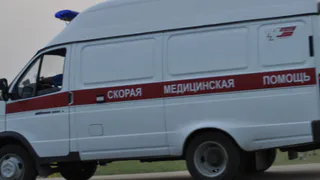 Полиция сообщила подробности ДТП в Клепиковском районе: погиб мужчина