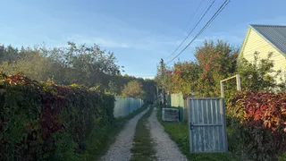 Бизнес-леди переехала из города в деревенский дом прадеда и устроила «вещеворот»: Посмотреть на чудо приходят жители соседних сел