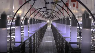 Как работает и выглядит изнутри новейший комплекс «Мираторга» за 708 миллионов