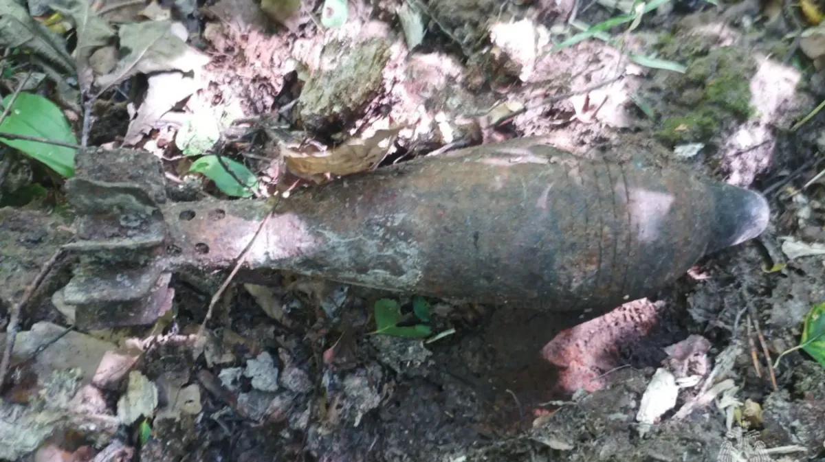 В Брянске и Севском районе за день обезвредили два боеприпаса времен войны