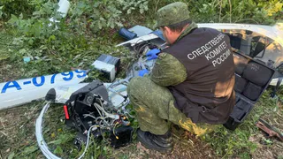 В Бессоновском районе мужчина погиб при крушении планера