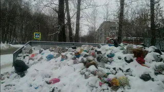 Народное фото: мусорная свалка в Приокском с каждым днем растет