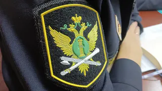 Жительница Коми погасила крупную задолженность по алиментам