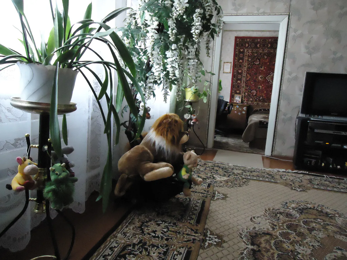 Укусит – мало не покажется: такие растения лучше не выращивать дома - рассказал эксперт