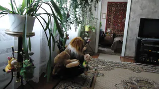 Просто расставляю их по доме: аромат стоит как в дорогих отелях за копейки