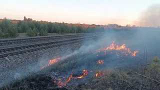 В Коми вновь горела сухая трава 