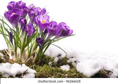 Погода на неделю: весна все-таки идет - весне дорогу