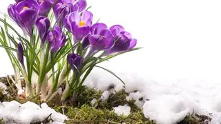 Погода на неделю: весна все-таки идет - весне дорогу