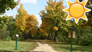 Прячем куртки в шкафчик: в Рязань придет бабье лето