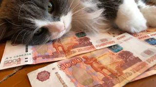 Пенсионеры получат 2 выплаты в декабре. Вот кому "прилетит" удача - проверьте себя в списке