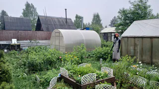 С 13 апреля начнут забирать землю: всех, у кого участок или дача в собственности, ждет новое правило