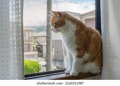 Приметы и запреты на 11 октября: на улицу лучше лишний раз не выходить