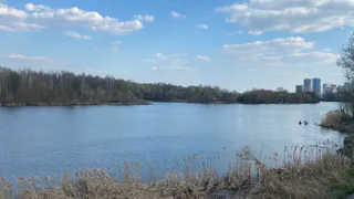 МЧС: Уровень Оки в Рязани вырос на 4 см за сутки