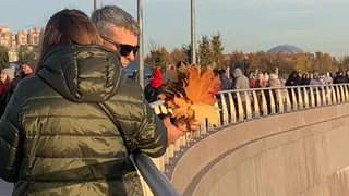 В Рязанской области объявили субботник