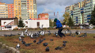 Сразу 8 выходных дней ждет россиян в апреле: щедрый подарок от государства 