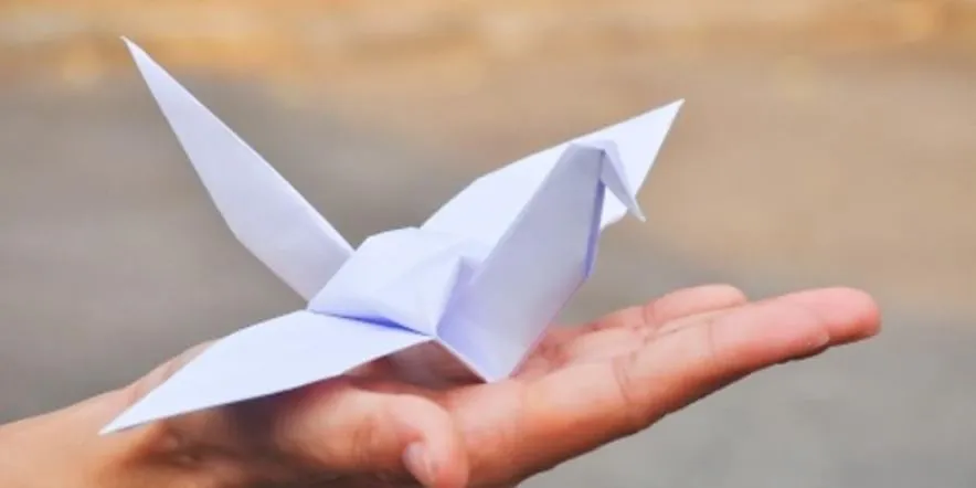 22 октября в Пензе на Соборной площади появятся тысячи бумажных журавлей