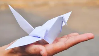 22 октября в Пензе на Соборной площади появятся тысячи бумажных журавлей