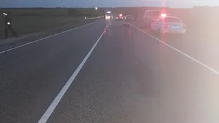 В Рязанской области неизвестный водитель насмерть сбил пешехода