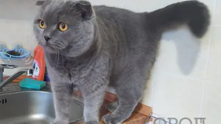 Измените эти привычки, и богатство придет к вам: что нельзя делать по вечерам, если хотите разбогатеть в 2025 году