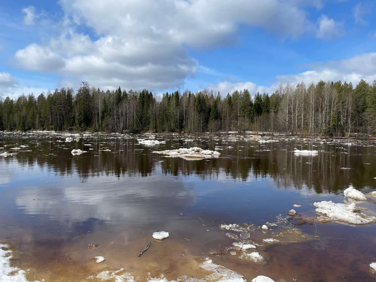 Выяснилось, сколько всего памятников археологии находятся на Южном Урале