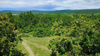 Прогноз на лето 2024: возможные рекорды по температуре