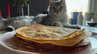 В Рязани на Лыбедском бульваре празднуют Масленицу