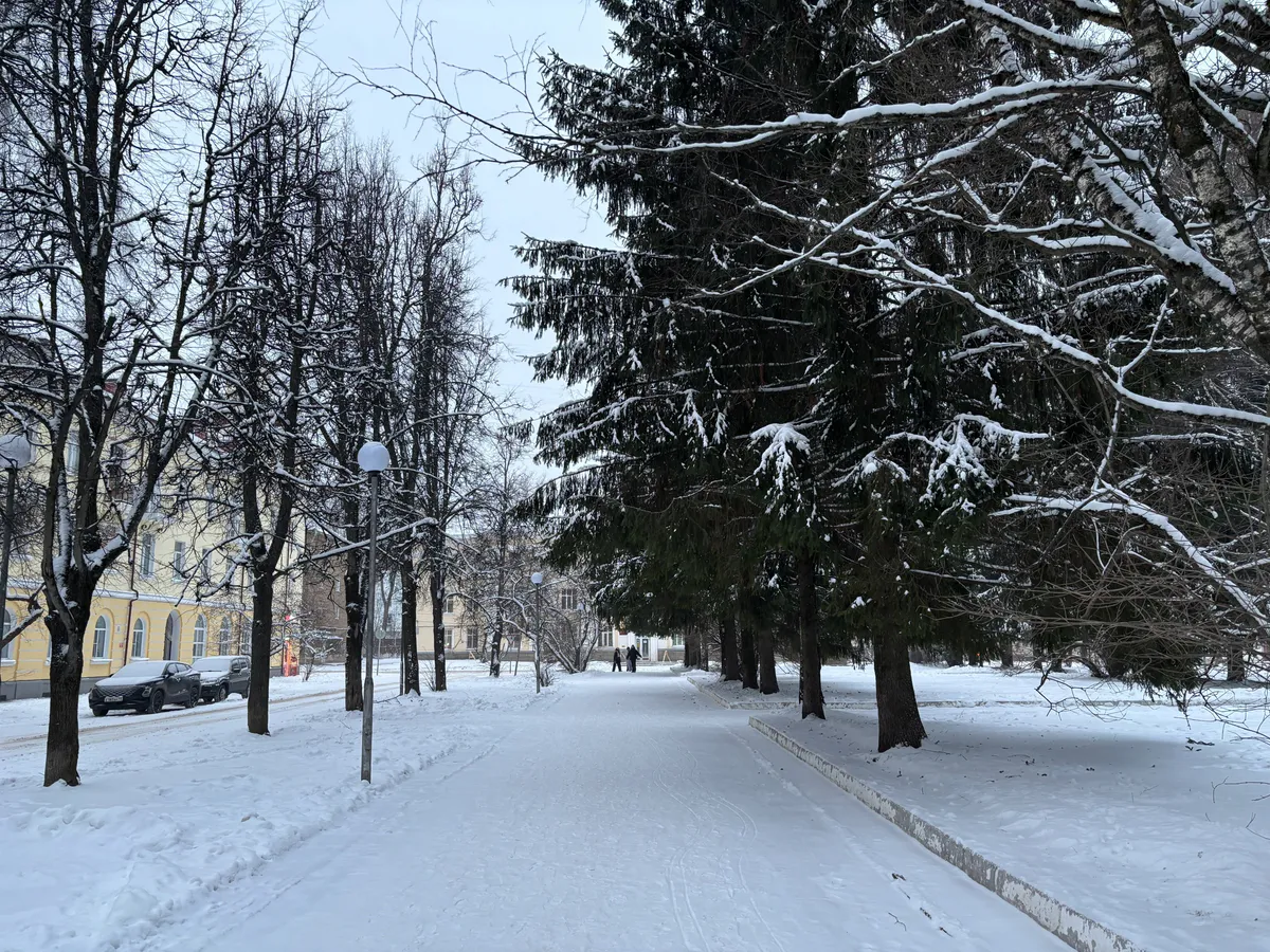 От ясеня до барбариса: как Магнитогорск обновляет свои зеленые зоны