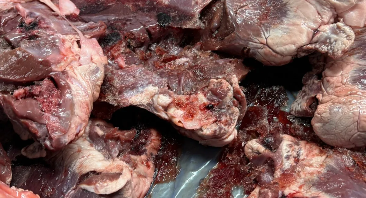 На этот раз Чижик смог удивить: разорился и купил говяжью печень за 399 руб и приготовил - честная реакция жены