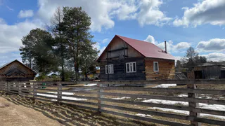 Мартовская аномальная жара изменит сроки урожая: когда лучше сажать помидоры и картошку - полный список дат