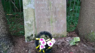 На Брянщине забыли о жертвах фашизма