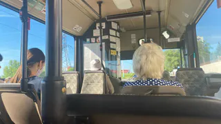 Заболеваемость ОРВИ в Рязанской области выросла на 2,8% за неделю