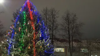 Во Владимирской области стартовало голосование за лучшее новогоднее оформление медучреждений