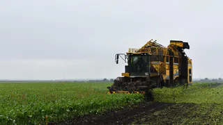 В Рязанской области на финальном этапе находится уборка масличных культур