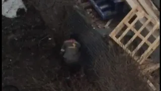 В центре Рязани около строящегося дома спилили все деревья