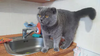 Более чем в 1000 домах Рязани отключили воду