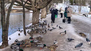 Челнинка на 39-й неделе беременности бросилась в ледяную воду за собакой и провалилась