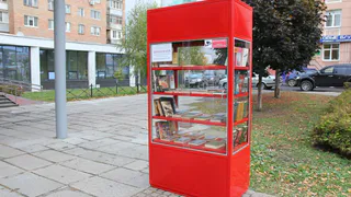 Лишь бы не растащили: в Рязани появился шкаф для буккроссинга