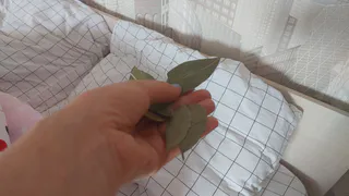 Хотите успех и деньги в 2025 году? Положите эту вещь в кошелек до 15 сентября — проверенный способ