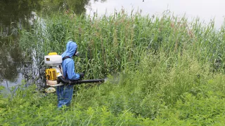 В Рязани обработают 28 водоемов от личинок комаров 4 июня