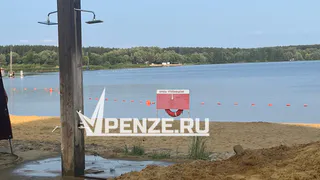 С сентября 2025 года вход на пляж с животными будет запрещен