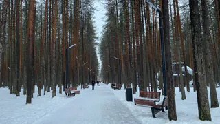 «Декабрь, январь и февраль будут сумасшедшими». Синоптики дали новый удручающий прогноз