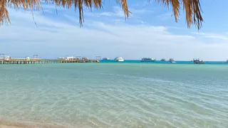 Больше никаких курортов на Черном море: россиянам запретили появляться на любимых пляжах