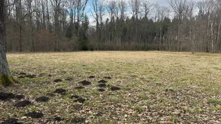 В Клепиковском районе нашли свалку на сельхозземле