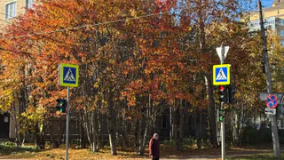 После ночного снегопада в Чувашию на 10 дней вернётся тёплая ветреная осень