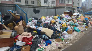 Жалобы жильцов: рязанские помойки продолжают процветать