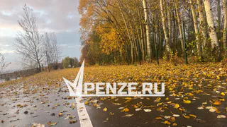 В Лопатинском районе водитель «Лады» сбил лося