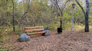 Челябинская область наслаждается последним осенним теплом перед резким похолоданием