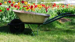 Конец апреля - начало мая: время сеять красоту в огороде